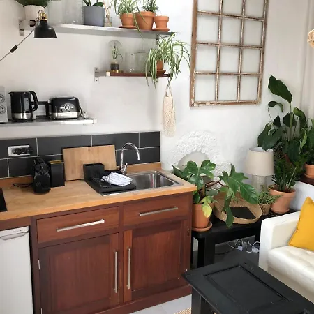 Apartment Sala Botanica - Shared Pool - Island Location - 10 Mins Drive To Famara And La Santa *