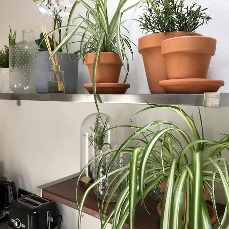 Sala Botanica - Shared Pool - Island Location - 10 Mins Drive To Famara And La Santa 公寓 Tiagua