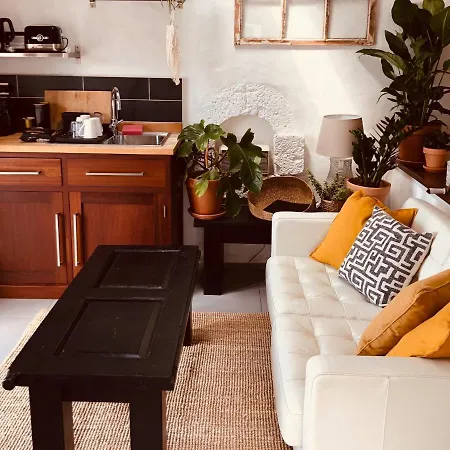 Sala Botanica - Shared Pool - Island Location - 10 Mins Drive To Famara And La Santa 公寓