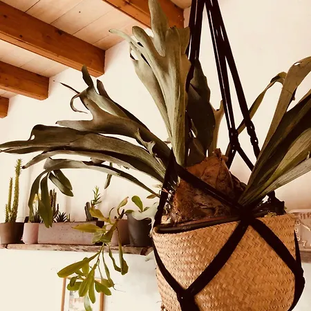 Finca Tiagua Casa de Campo *