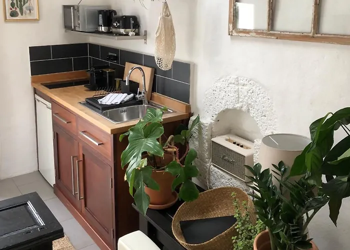 Sala Botanica - Shared Pool - Island Location - 10 Mins Drive To Famara And La Santa Apartment Tiagua