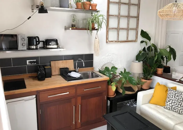 Apartment Sala Botanica - Shared Pool - Island Location - 10 Mins Drive To Famara And La Santa *