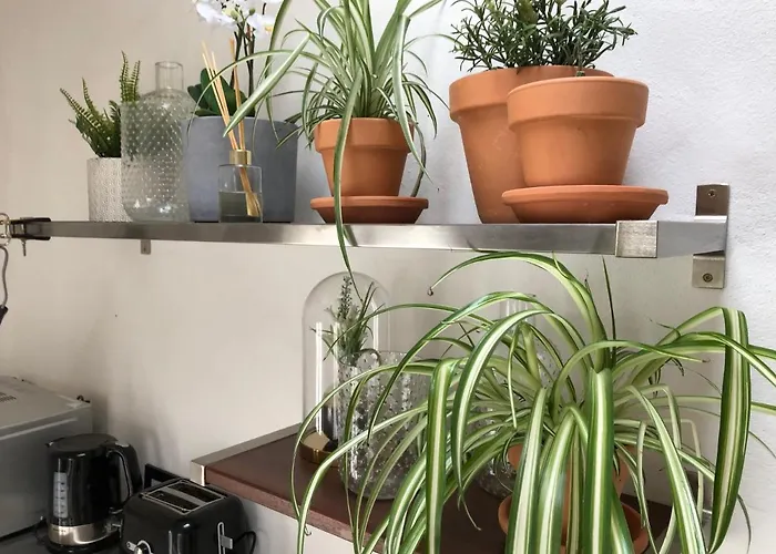 Sala Botanica - Shared Pool - Island Location - 10 Mins Drive To Famara And La Santa Apartment Tiagua