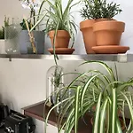 Finca Tiagua Venkovský dům Tiagua